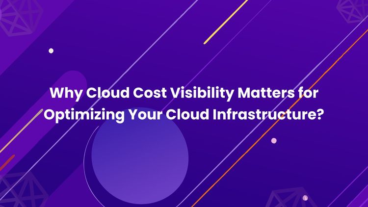 Why Cloud Cost Visibility Matters for Optimizing Your Cloud Infrastructure?